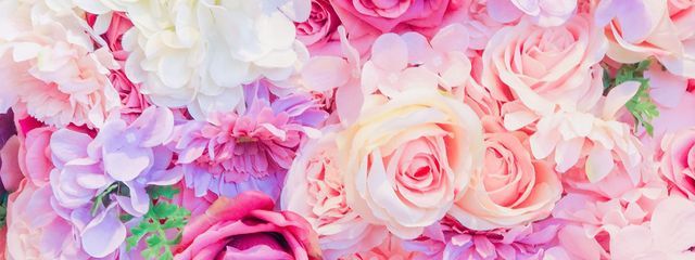 もなしゃろさんの壁紙画像