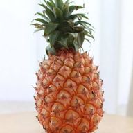 ぱいなぽぅさんのアイコン画像