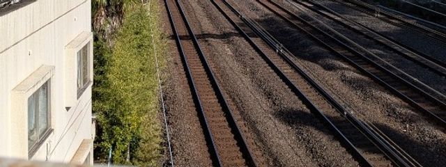 咲樹☃さんの壁紙画像