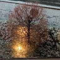 咲樹☃さんのアイコン画像