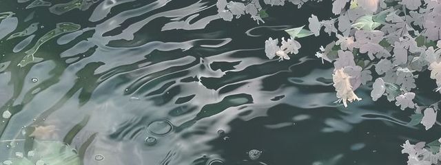 　桜瀬さんの壁紙画像