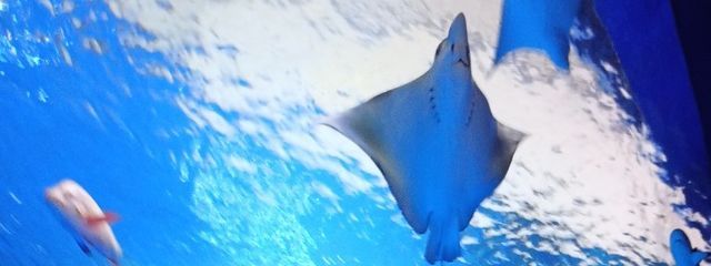 ぽち☆彡　不定期更新さんの壁紙画像