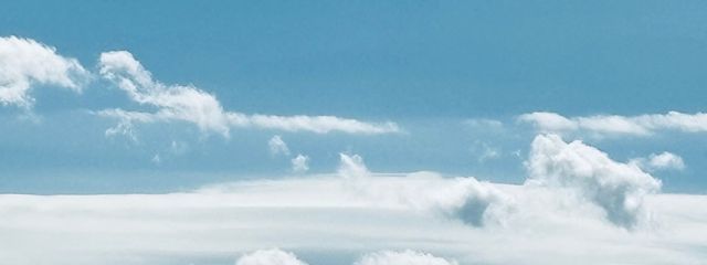 塩珊瑚さんの壁紙画像