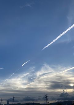 夏の時を忘れぬよう