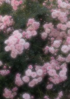 愛されキャバ嬢