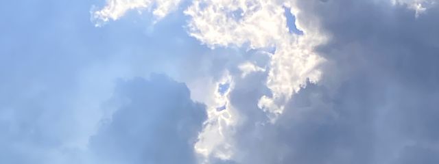 おもち⭐︎さんの壁紙画像