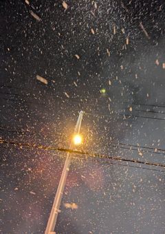 拝啓、もうすぐ死ぬ貴方へ