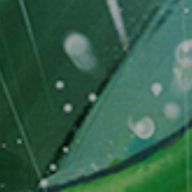 あいかさんのアイコン画像