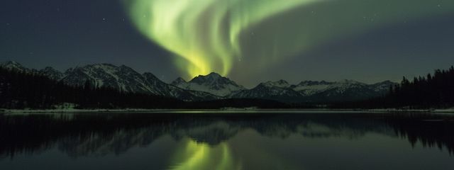 chocoぴっつぁ💚💛さんの壁紙画像