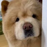 みささめさんのアイコン画像