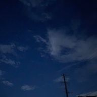 名探偵 春さんのアイコン画像