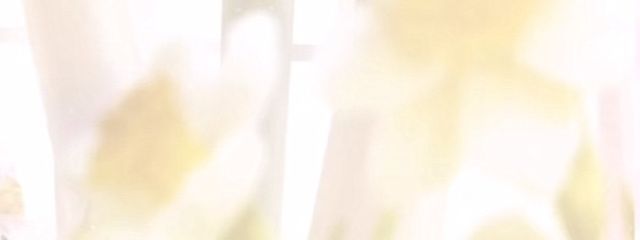 なつみかんさんの壁紙画像