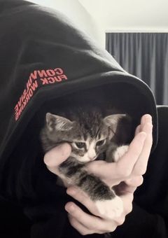 ♯ 原石の最年少 ツンデレ赤ちゃんらしい