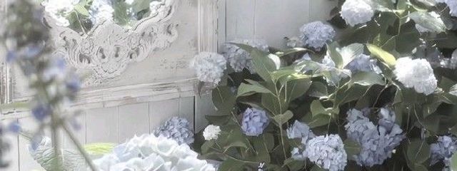   桃瀬 りのさんの壁紙画像