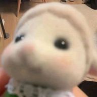 4号車_愛及屋烏💚ᩚ😵‍💫さんのアイコン画像