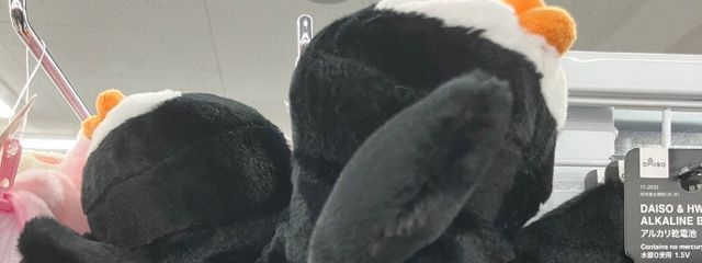 るみ ち ｬ んさんの壁紙画像