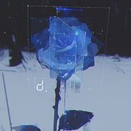 晴華さんのアイコン画像