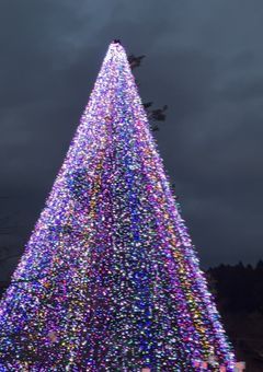 イラスト部屋  1