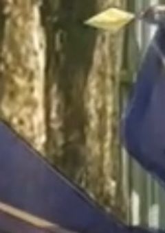 # 神達の遊び　締切