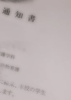 受験報告