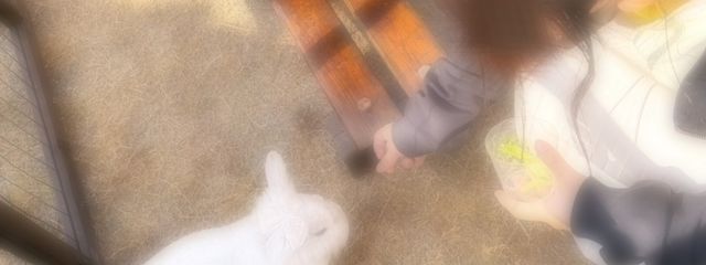 柚羽さんの壁紙画像
