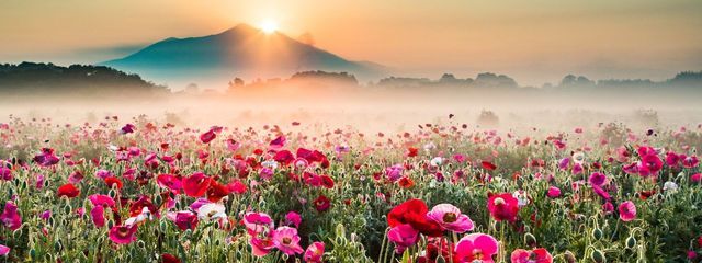 ่ฑ.๐คโ๐ค.๐๐ใใใฎๅฃ็ด็ปๅ