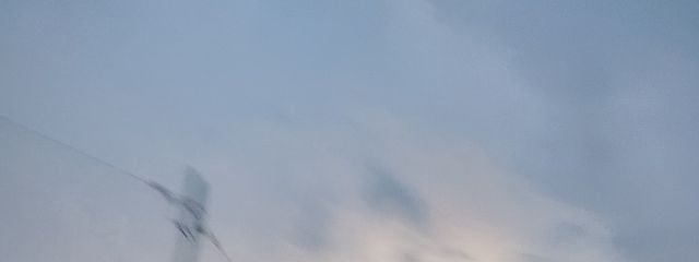 Riro🍀さんの壁紙画像
