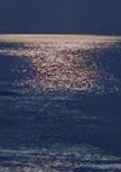 コメント型人狼ゲームの役職部屋