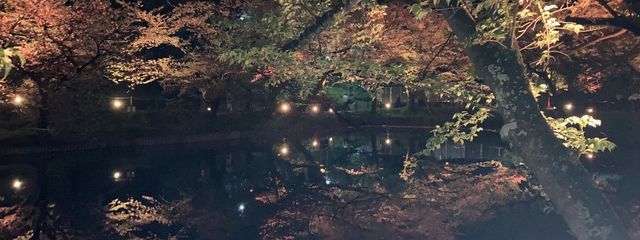 Hinaさんの壁紙画像