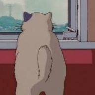 ユーザーページへ