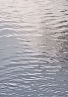 ヒロアカ 死後の世界