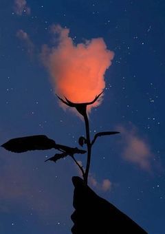  【 君となら何処までも！ 】 参加型