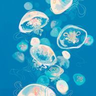 利田空華さんのアイコン画像