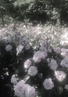 𝓑𝓝𝓓.𖥔 ݁ ˖＿深淵の中で、また逢える日まで.𖥔 ݁ ˖