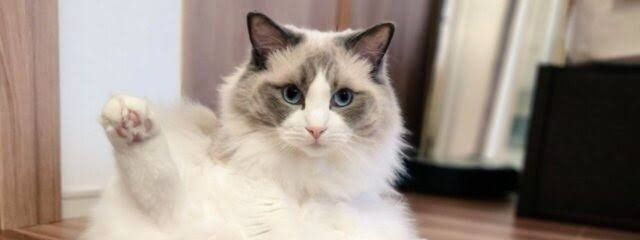 はるさんの壁紙画像