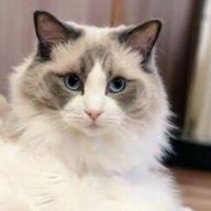 はるさんのアイコン画像