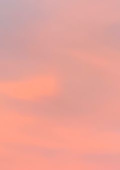 特級術師が英雄高校に護衛しに行ったらいじめられた件