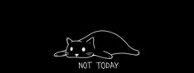 野生のりたさん　🫧🐠❄️さんの壁紙画像