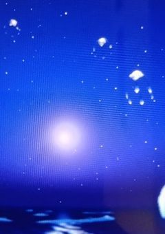 月明かりに照らされて