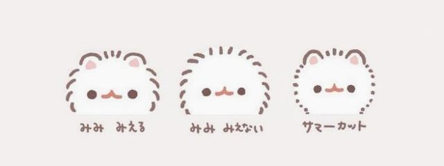 山田サンさんの壁紙画像