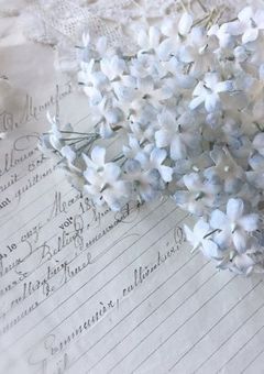  ︎>>> ︎︎ᴛᴀʟᴋ ʀᴏᴏᴍ ︎︎.