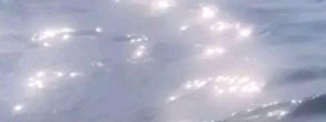 美華。さんの壁紙画像