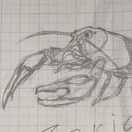 マグロガニさんのアイコン画像