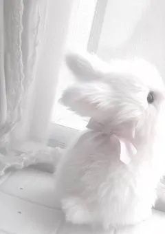 お と も だ ち さ が し