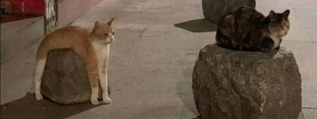 塚さんの壁紙画像