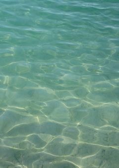  Nj ︎┊︎ 怪しいオニーサンが手を振ってくる件