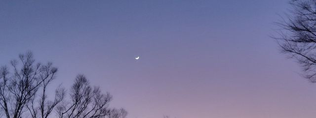 あなたを救いたいさんの壁紙画像