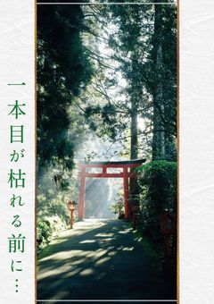 一本目が枯れる前に…