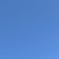 Litさんのアイコン画像