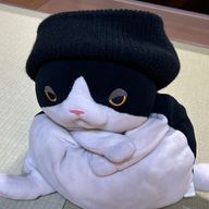 うーたろさんのアイコン画像